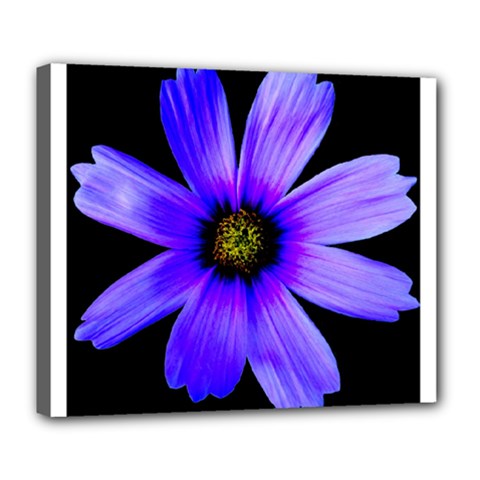Purple Bloom Deluxe Canvas 24  X 20  (framed) by BeachBum