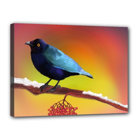 The Blue Bird Canvas 16  X 12  (stretched)