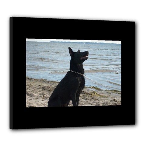 Black German Shepherd Canvas 24  X 20  (framed) by StuffOrSomething