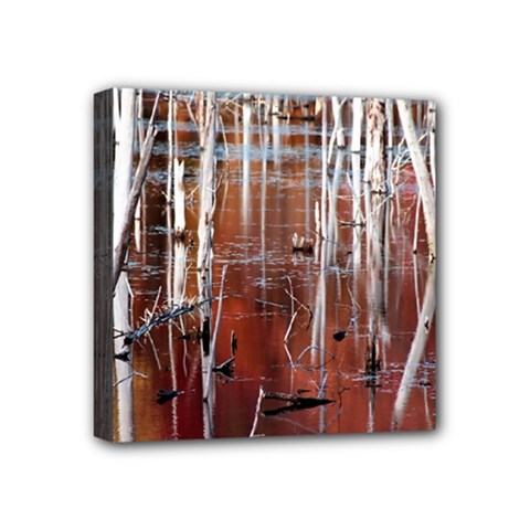 Automn Swamp Mini Canvas 4  X 4  (framed) by cgar