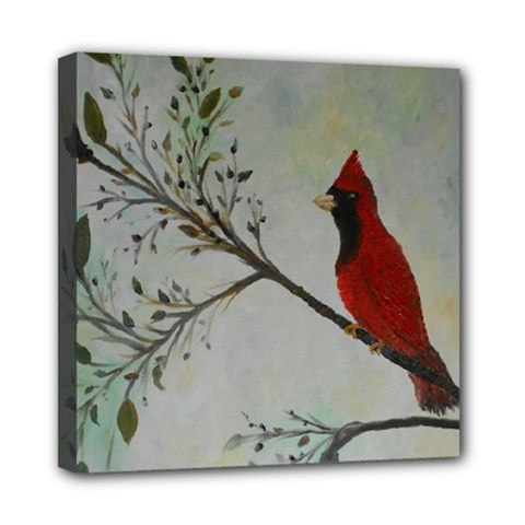 Sweet Red Cardinal Mini Canvas 8  x 8  (Framed)