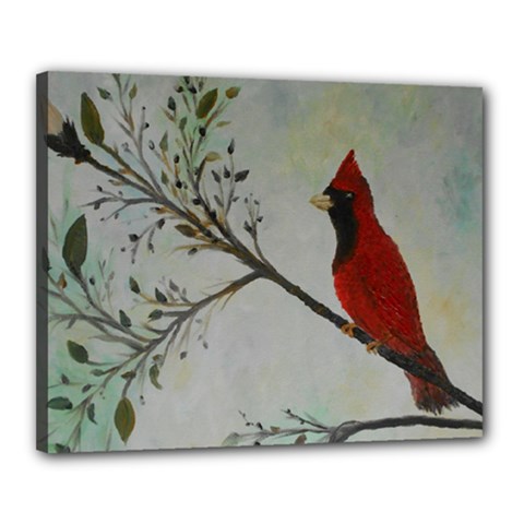 Sweet Red Cardinal Canvas 20  x 16  (Framed)