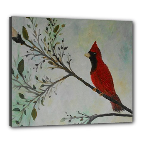 Sweet Red Cardinal Canvas 24  x 20  (Framed)