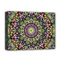 Psychedelic Leaves Mandala Deluxe Canvas 16  x 12  (Framed)  View1