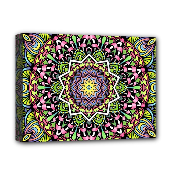 Psychedelic Leaves Mandala Deluxe Canvas 16  x 12  (Framed) 