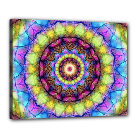 Rainbow Glass Canvas 20  X 16  (framed) by Zandiepants