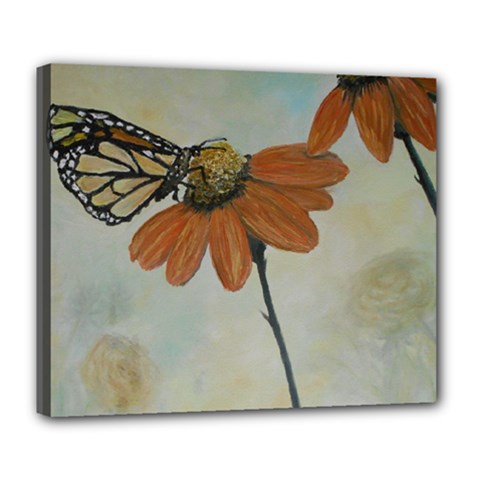 Monarch Deluxe Canvas 24  X 20  (framed) by rokinronda