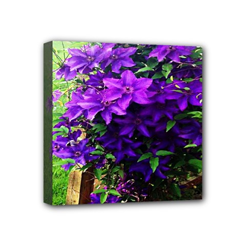 Purple Flowers Mini Canvas 4  X 4  (framed)