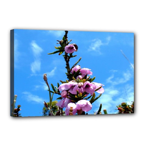 Pink Flower Canvas 18  X 12  (framed) by Rbrendes