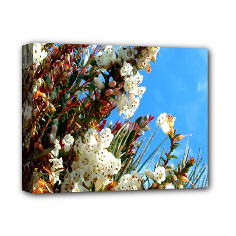 Australia Flowers Deluxe Canvas 14  X 11  (framed) by Rbrendes