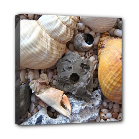 Beach Treasures Mini Canvas 8  X 8  (framed) by StuffOrSomething