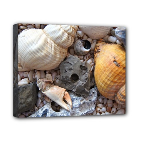 Beach Treasures Canvas 10  X 8  (framed) by StuffOrSomething