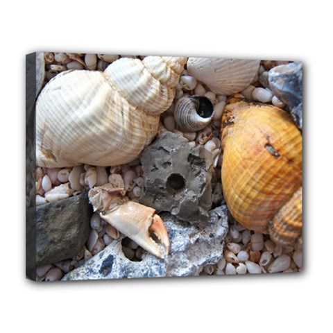 Beach Treasures Canvas 14  X 11  (framed) by StuffOrSomething