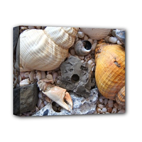 Beach Treasures Deluxe Canvas 14  X 11  (framed) by StuffOrSomething