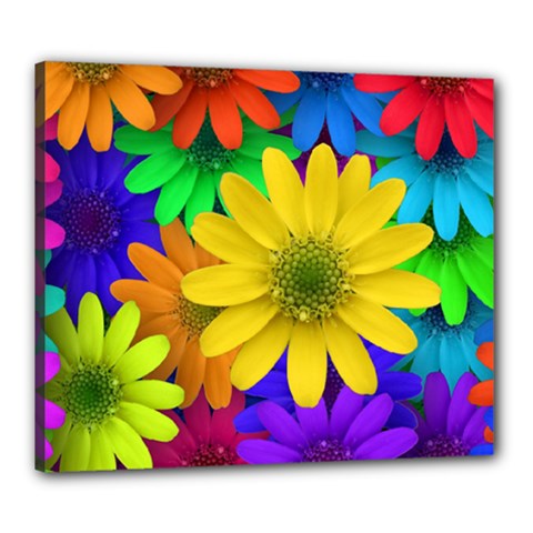 Gerbera Daisies Canvas 24  X 20  (framed)