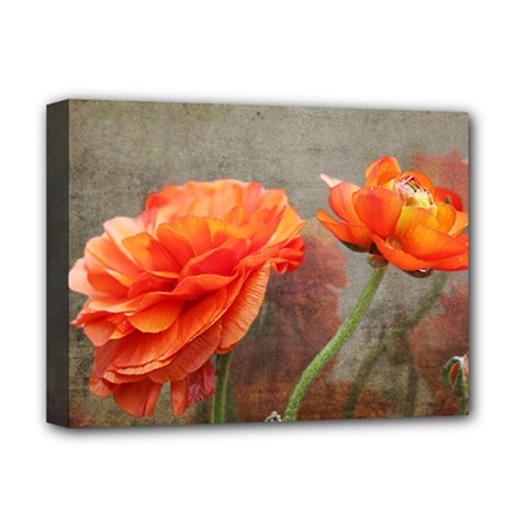 Orange Rose From Bud To Bloom Deluxe Canvas 16  X 12  (framed) 