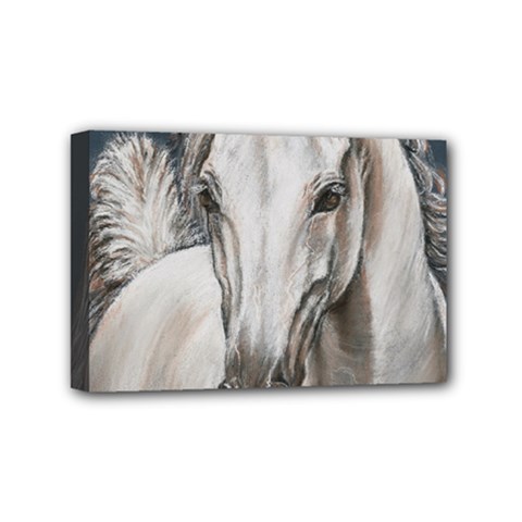 Breeze Mini Canvas 6  X 4  (framed) by TonyaButcher