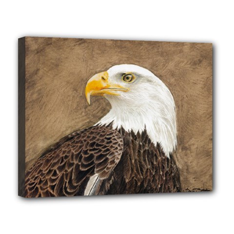 Eagle Canvas 14  X 11  (framed) by TonyaButcher