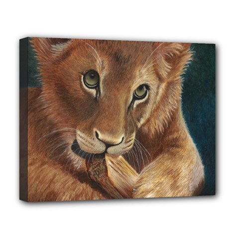 Playful  Deluxe Canvas 20  X 16  (framed) by TonyaButcher