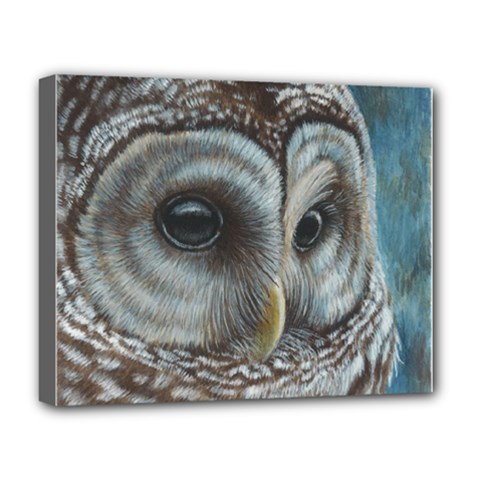 Barred Owl Deluxe Canvas 20  X 16  (framed) by TonyaButcher