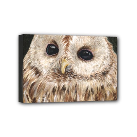 Tawny Owl Mini Canvas 6  X 4  (framed) by TonyaButcher
