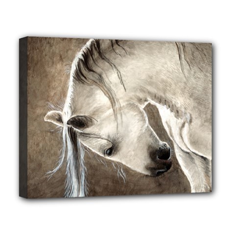 Humble Deluxe Canvas 20  X 16  (framed) by TonyaButcher