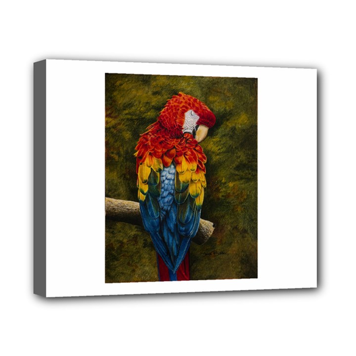 Preening Canvas 10  x 8  (Framed)