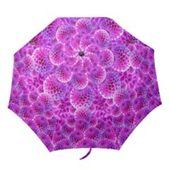 Purple Dahlias Folding Umbrella by FunWithFibro