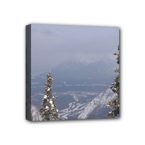 Trees Mini Canvas 4  X 4  (framed) by DmitrysTravels