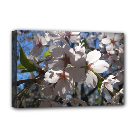 Cherry Blossoms Deluxe Canvas 18  X 12  (framed) by DmitrysTravels