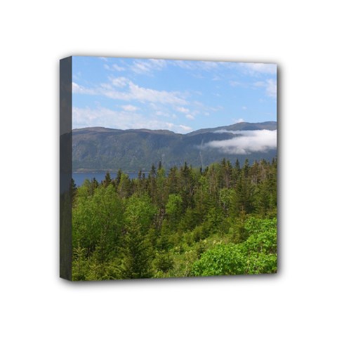 Newfoundland Mini Canvas 4  X 4  (framed) by DmitrysTravels