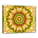 Red Green Apples Mandala Canvas 20  x 16  (Framed) View1