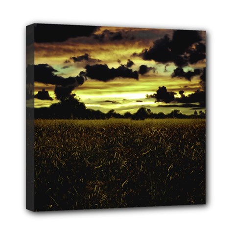 Dark Meadow Landscape  Mini Canvas 8  X 8  (framed) by dflcprints
