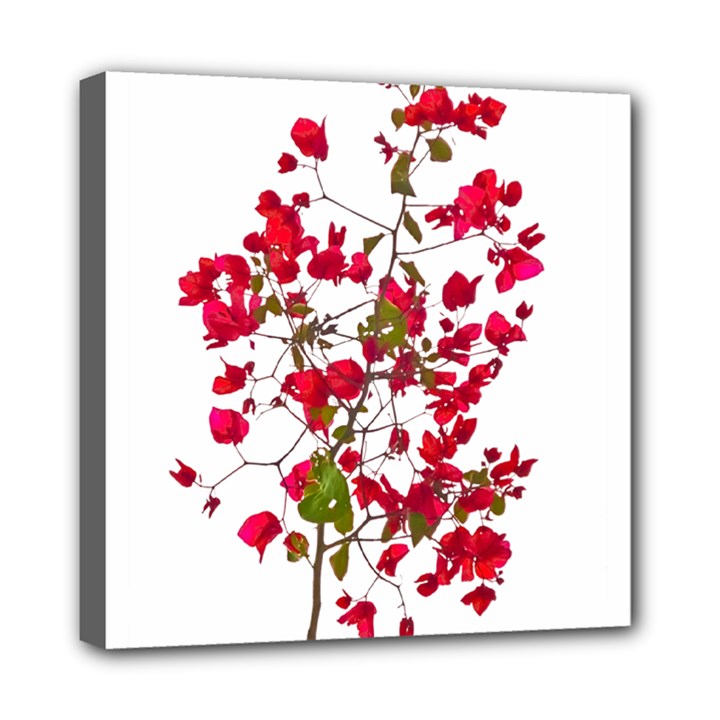 Red Petals Mini Canvas 8  x 8  (Framed)