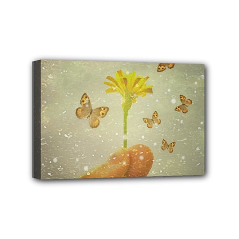 Butterflies Charmer Mini Canvas 6  X 4  (framed) by dflcprints