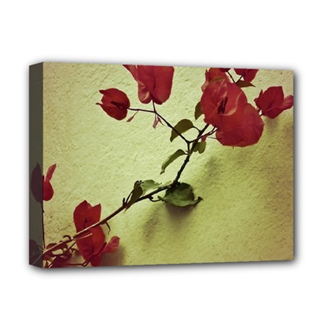 Santa Rita Flower Deluxe Canvas 16  X 12  (framed)  by dflcprints