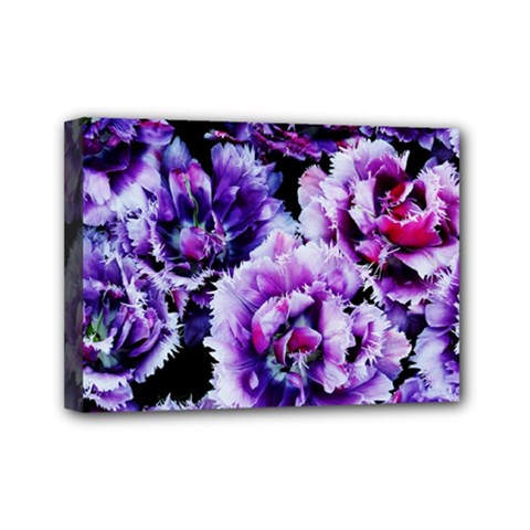 Purple Wildflowers Of Hope Mini Canvas 7  X 5  (framed) by FunWithFibro