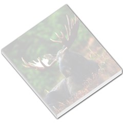 Majestic Moose Small Memo Pad by StuffOrSomething