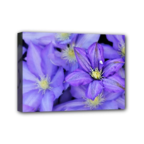 Purple Wildflowers For Fms Mini Canvas 7  X 5  (framed) by FunWithFibro