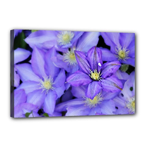Purple Wildflowers For Fms Canvas 18  X 12  (framed) by FunWithFibro
