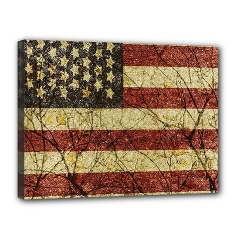 Vinatge American Roots Canvas 16  X 12  (framed) by dflcprints