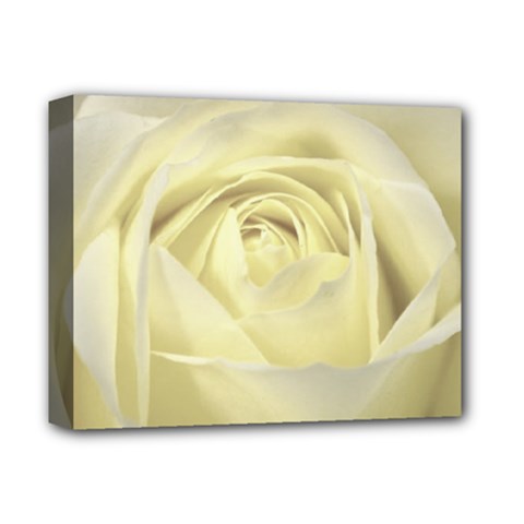  Cream Rose Deluxe Canvas 14  X 11  (framed) by Colorfulart23