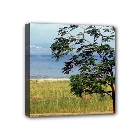 Sea Of Galilee Mini Canvas 4  X 4  (framed) by AlfredFoxArt