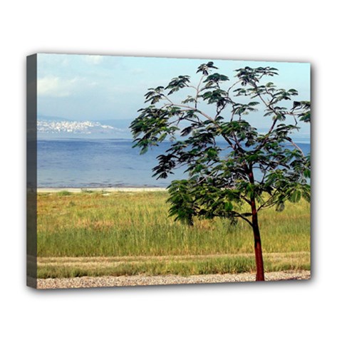 Sea Of Galilee Canvas 14  X 11  (framed)