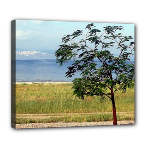 Sea Of Galilee Deluxe Canvas 24  X 20  (framed) by AlfredFoxArt