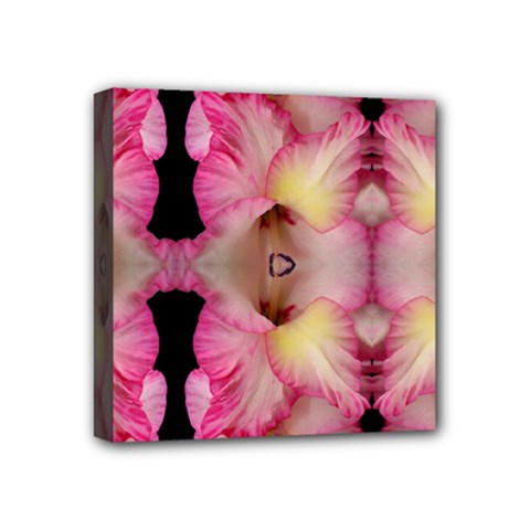 Pink Gladiolus Flowers Mini Canvas 4  X 4  (framed) by Artist4God