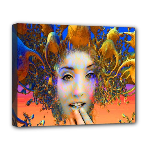 Organic Medusa Deluxe Canvas 20  X 16  (framed) by icarusismartdesigns