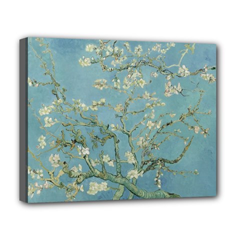 Vincent Van Gogh, Almond Blossom Deluxe Canvas 20  X 16  (framed) by Oldmasters