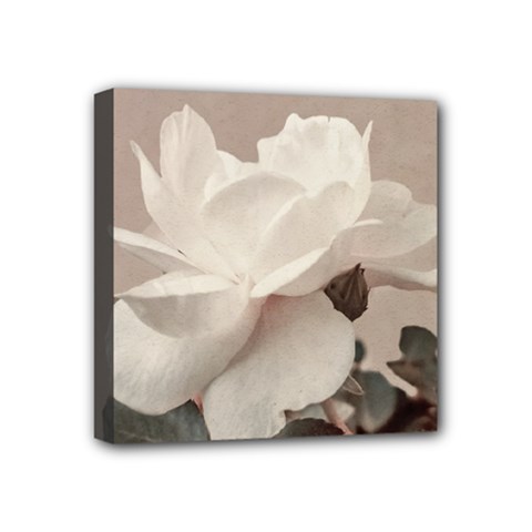 White Rose Vintage Style Photo In Ocher Colors Mini Canvas 4  X 4  (framed) by dflcprints