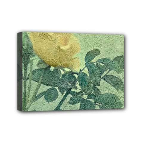 Yellow Rose Vintage Style  Mini Canvas 7  X 5  (framed) by dflcprints